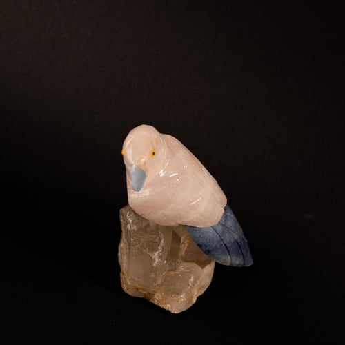 ببغاء روز كوارتز على حجر الكوارتز