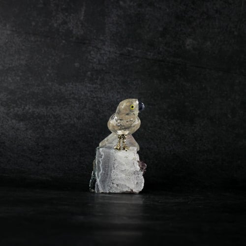 ببغاء كوارتز على حجر الاميثيست