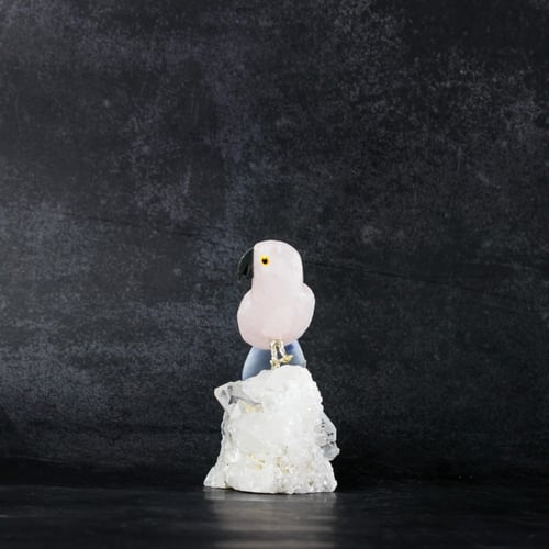 ببغاء روز كوارتز على حجر الكوارتز