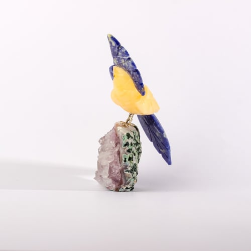 ببغاء يلو كالسايت على حجر الاميثيست