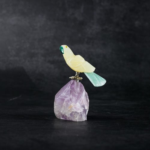 ببغاء يلو كالسايت على حجر الاميثيست