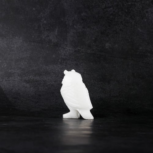 بومة دولومايت