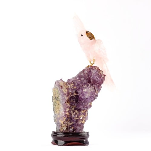 ببغاء روز كوارتز على حجر الاميثيست