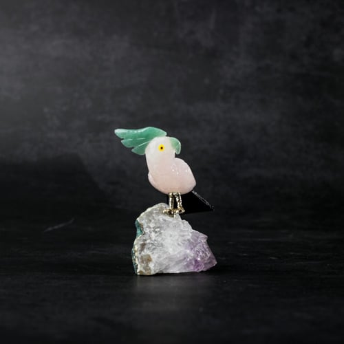ببغاء روز كوارتز على حجر الاميثيست