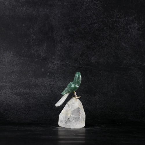 ببغاء سودالايت على حجر الكوارتز