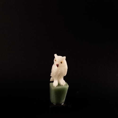 بومة دولومايت