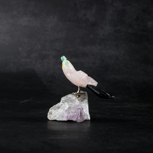 ببغاء روز كوارتز على حجر الاميثيست