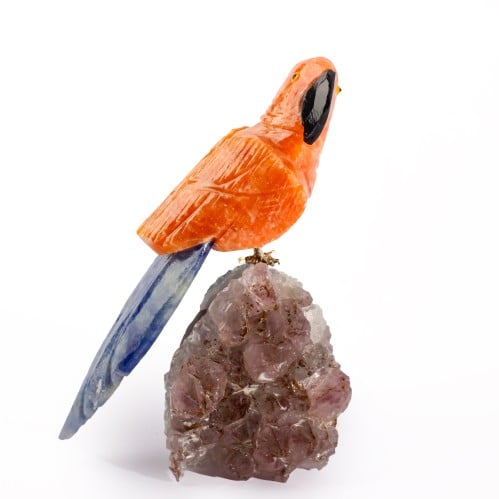 ببغاء اورانج كالسايت على حجر الاميثيست