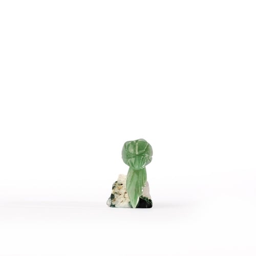 ببغاء جرين افينتورين على حجر الاميثيست