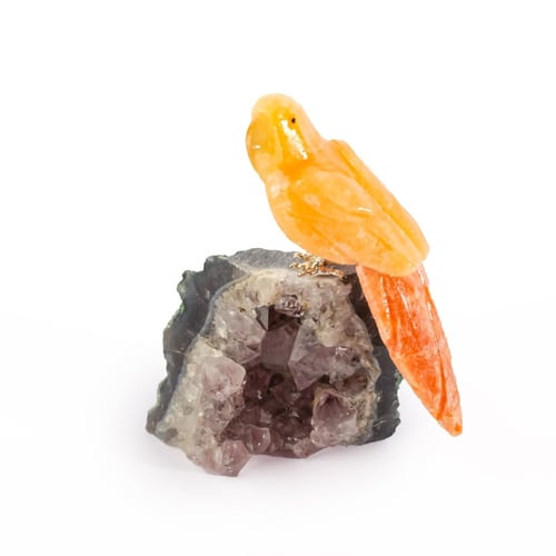 ببغاء اورانج كالسيت على حجر الاميثيست