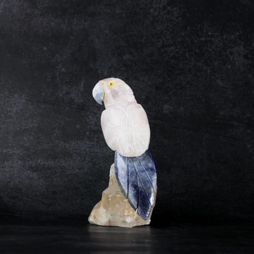 ببغاء روز كوارتز على حجر الكوارتز