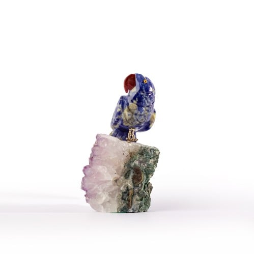 ببغاء سودالايت على حجر الاميثيست