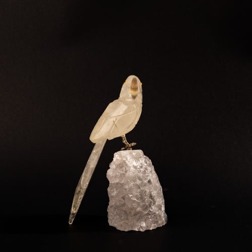 ببغاء كوارتز على حجر الكوارتز