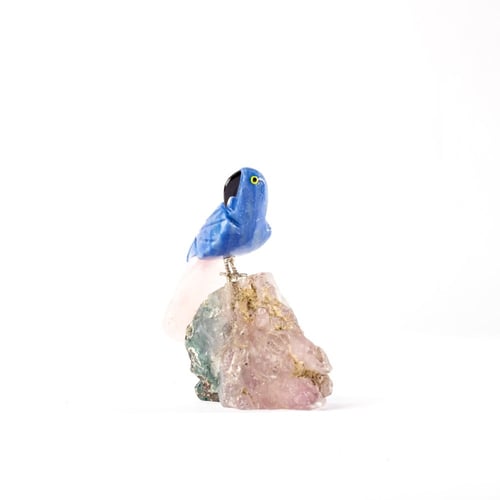 ببغاء بلو كوارتز على حجر الاميثيست