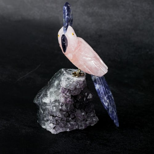 ببغاء روز كوارتز على حجر الاميثيست