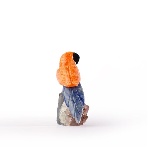 ببغاء اورانج كالسايت على حجر الاميثيست