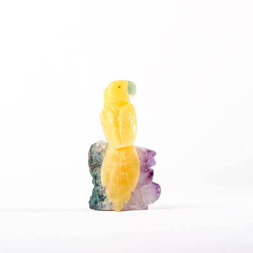 ببغاء يلو كالسايت على حجر الاميثيست