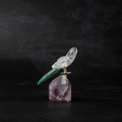 ببغاء كوارتز على حجر الاميثيست