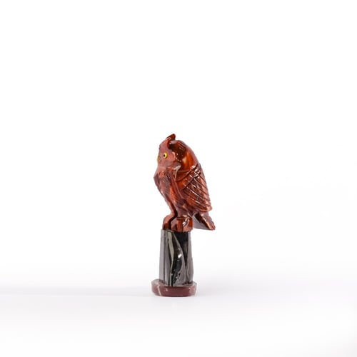 بومة دولومايت