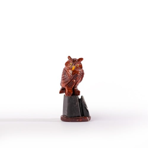 بومة دولومايت