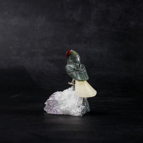 ببغاء جرين افينتورين على حجر الاميثيست