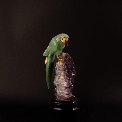 ببغاء الجرين افينتورين على حجر الاميثيست