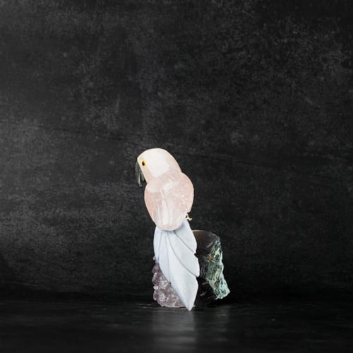 ببغاء روز كوارتز على حجر الاميثيست