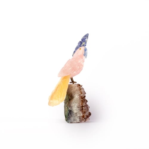 ببغاء روز كوارتز على حجر الاميثيست