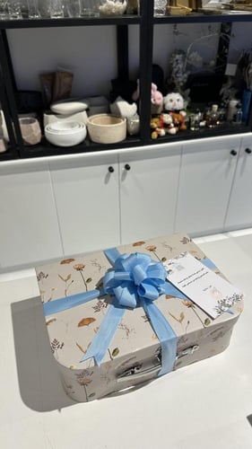 شنطه اليجنت NEXT للمولود