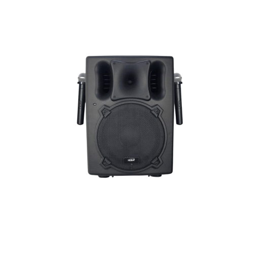 مكبر صوت 10 إنش مع 2 ميكروفون لاسلكي وقوة 120 وات...