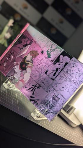 اكريليك هيسوكا من سلسلة القناص هنتر ،سميك مطبوع عل...