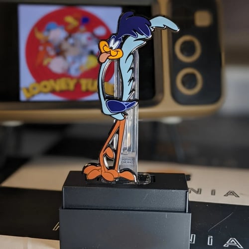 بروش شخصية رود رانر من لوني تونز،