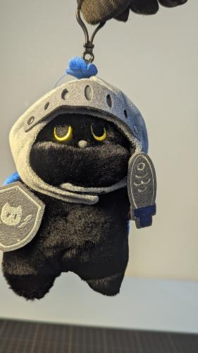 دمية لطيفة قط فارس .