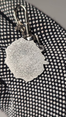 ميدالية أبطال الديجيتال.