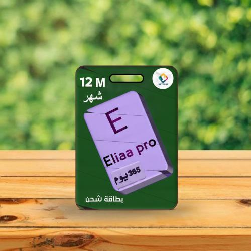 1Card 12 month