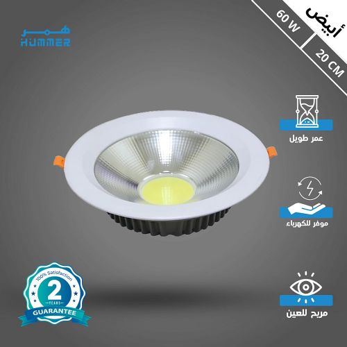 كشاف دفن لون الانارة ابيض 20 سم 60 واط