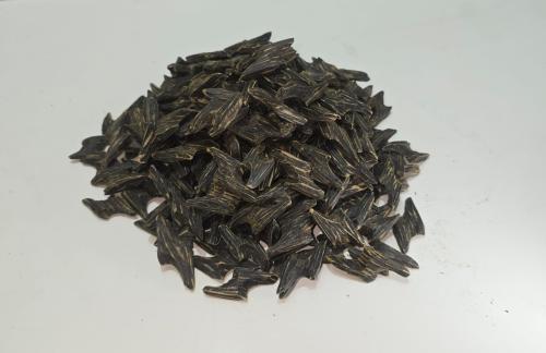 Tiger Oud in Vietnam