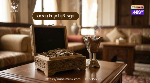 عود كينام طبيعي صيني دقة دبل سوبر