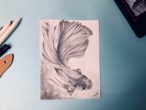 دورة تدريبية لاساسيات الرسم بالرصاص "مستوى مبتدئ"