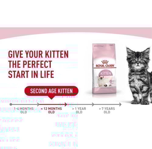 رويال كانين طعام للقطط الصغيرة 2Kg