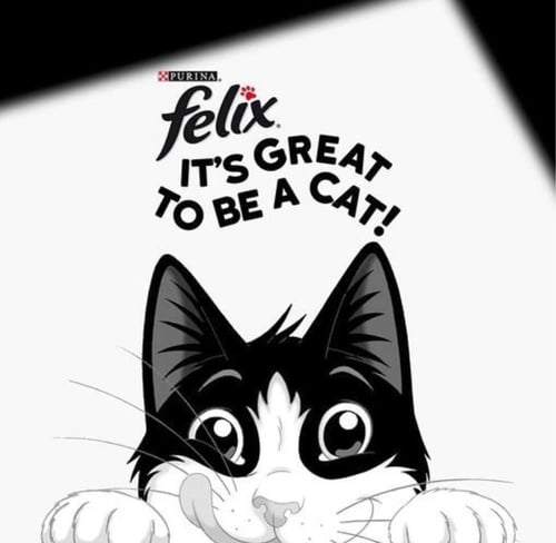 بورينا فيليكس مجموعة متنوعة من اللحوم للقطط البالغ...