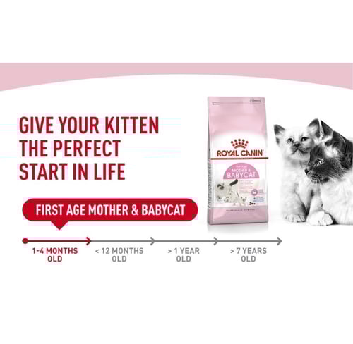 رويال كانين طعام جاف الشهر الأول للقطط 400g