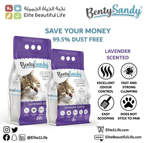 تراب قطط بينتي ساندي ناعم برائحة الافندر 10 لتر