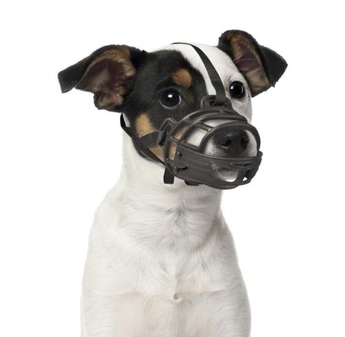 دوفو كمامة التدريب المطاطية للكلاب XL