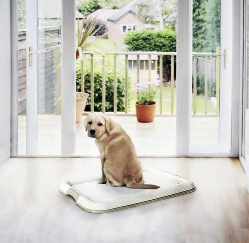 ديوفو أرضية طبية للتدريب XXL 30P 60X90CM