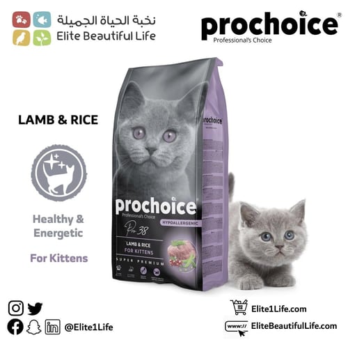 بروتشويز طعام قطط كيتن لحم ١٥ كيلو