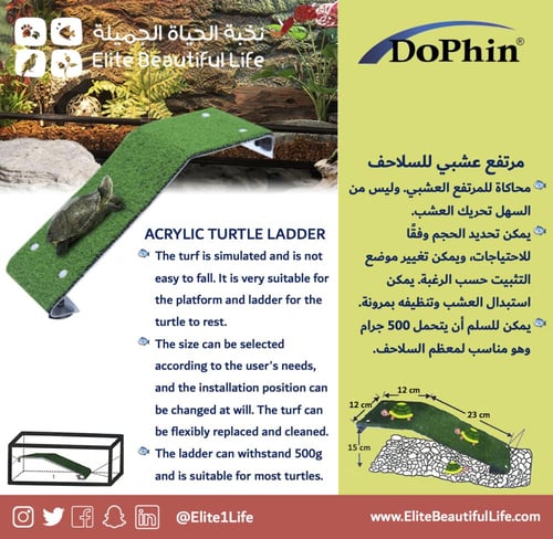 دوفين سلم ومرتفع عشبي للسلاحف DOPHIN ACRYLIC TURTL...