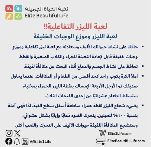 ديوفو لعبة للقطط