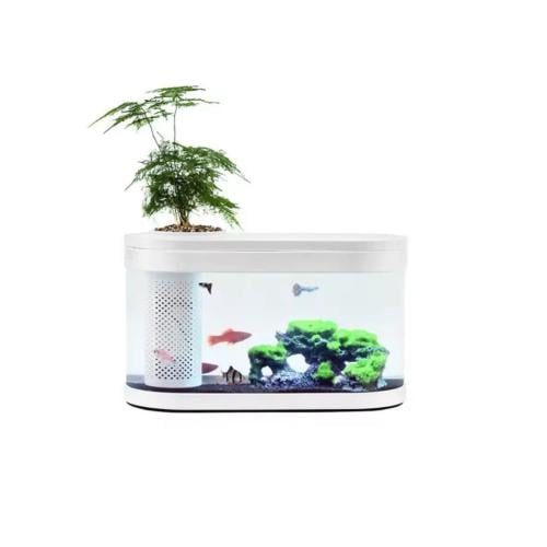 حوض زجاجي لأسماك زينة مع فلتر وإضاءة HFJH