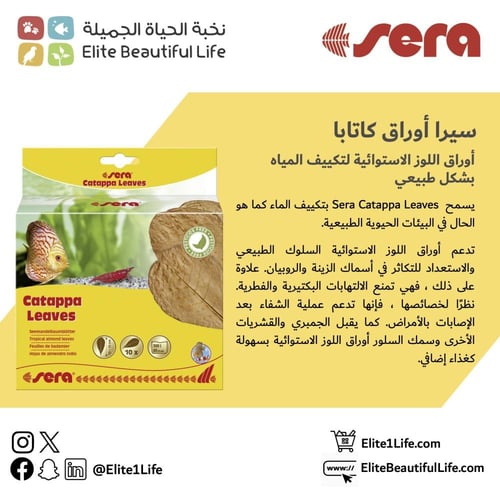 سيرا ورق اللوز Sera Almond leaf